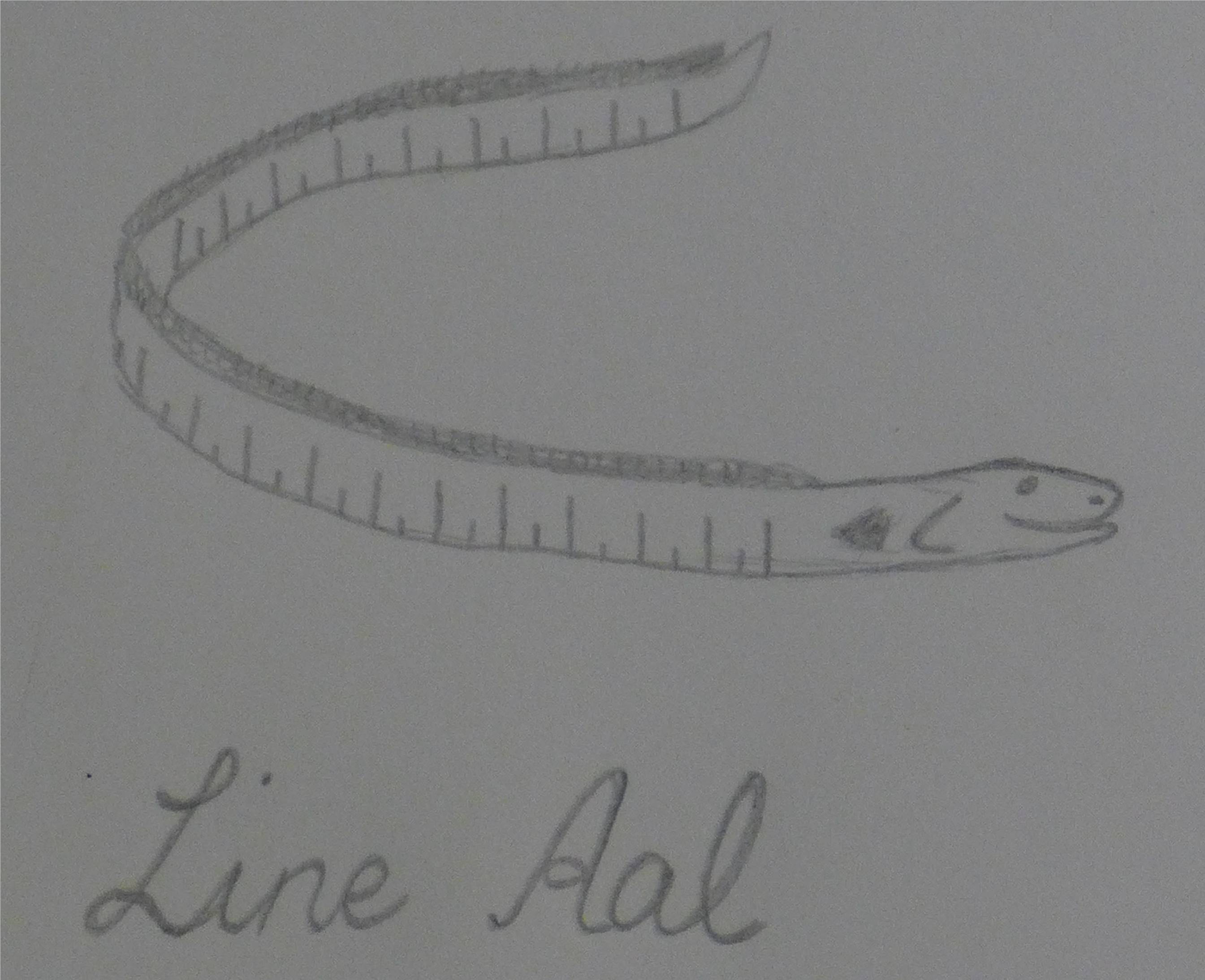line-aal