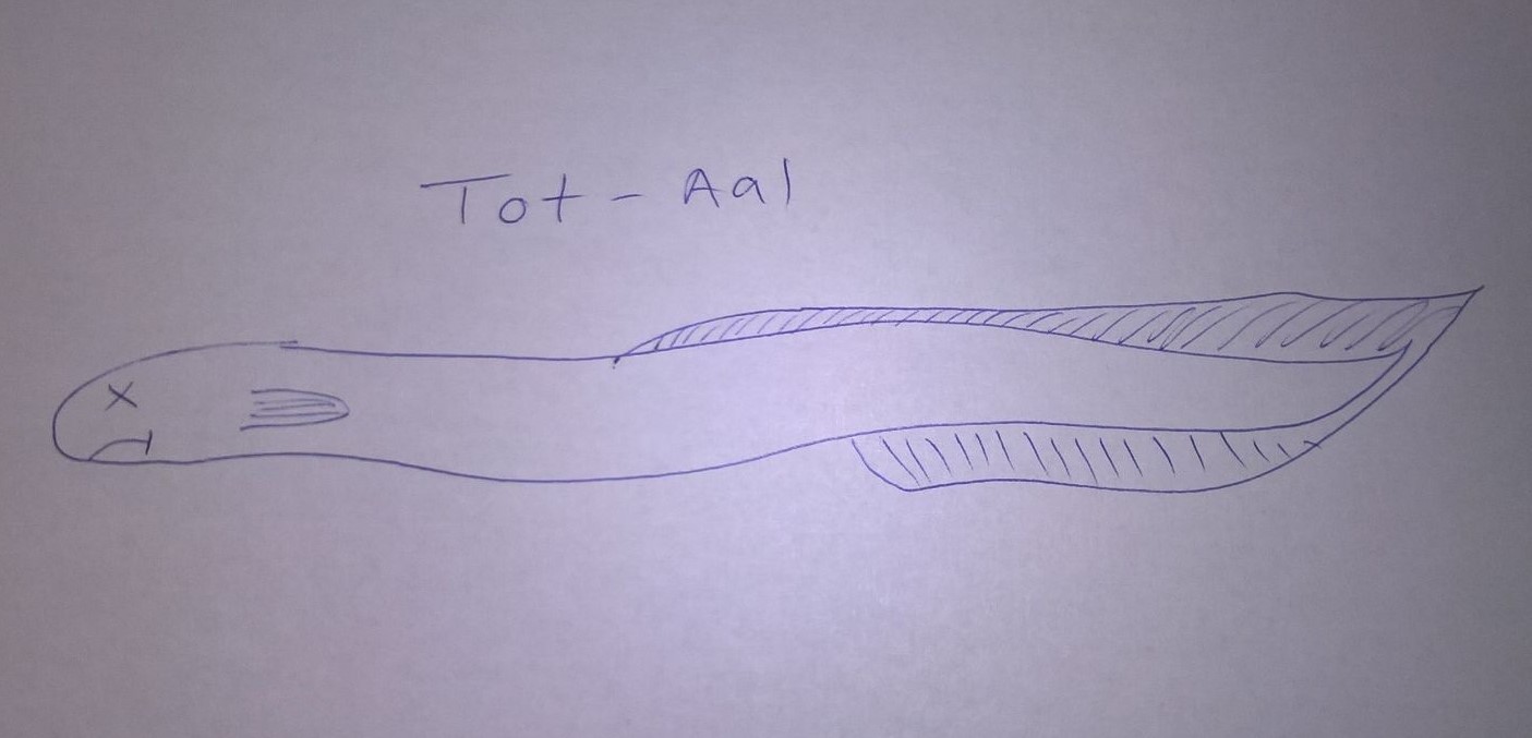 tot-aal