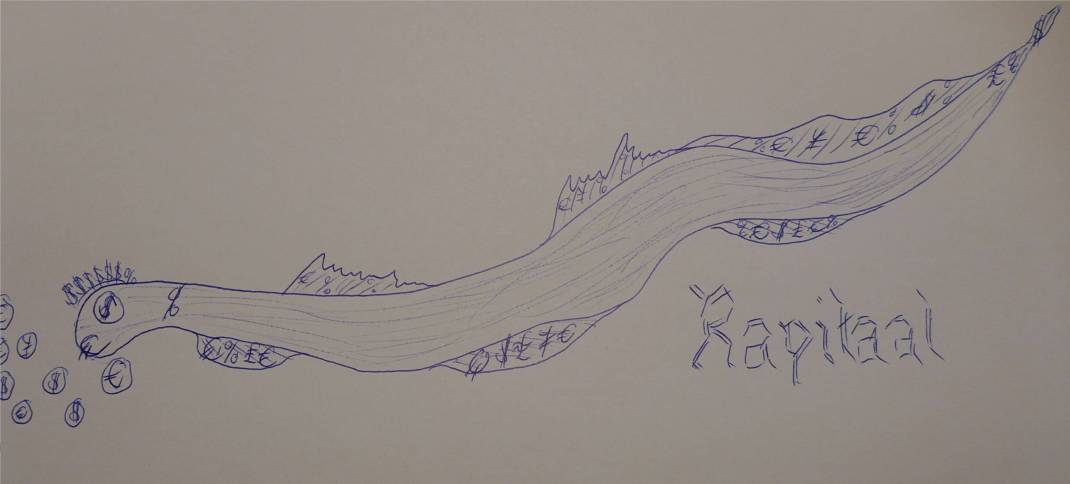 kapitaal-nobbi