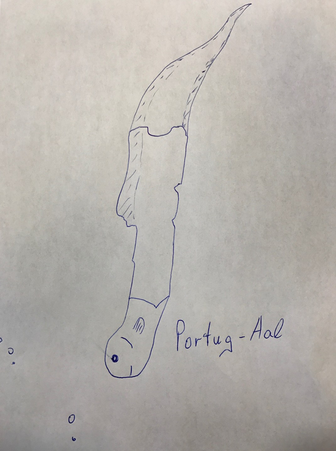 portug-aal-wiebke-und-ralf