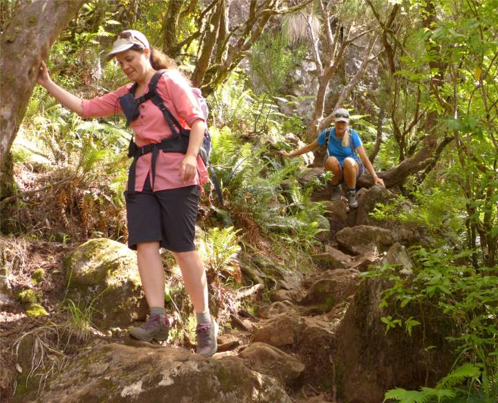 Madeira 2 es wird steil