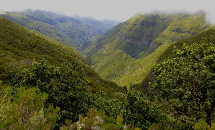Madeira 2 gruene Berge