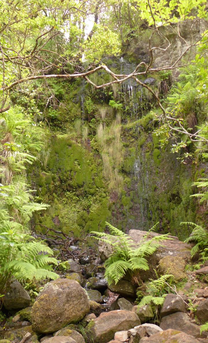 Madeira 2 kleiner Wasserfall