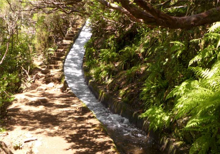 Madeira 2 Levada mit Treppe