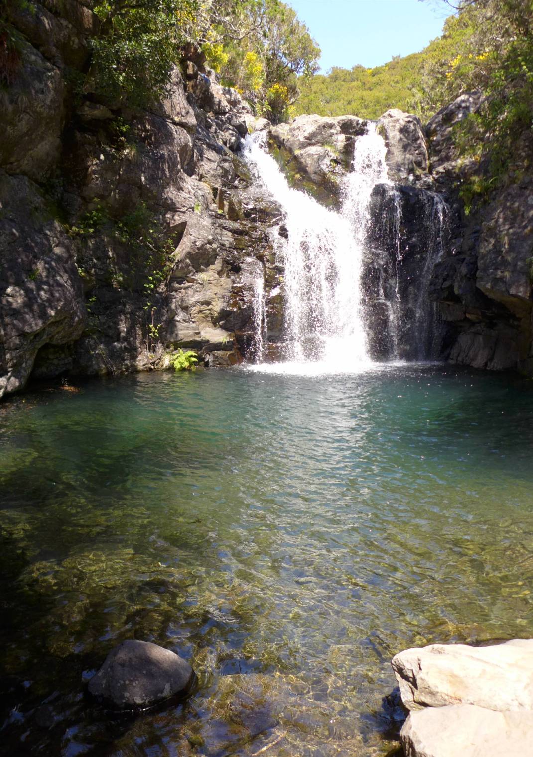 Madeira 2 Quelle der Levada