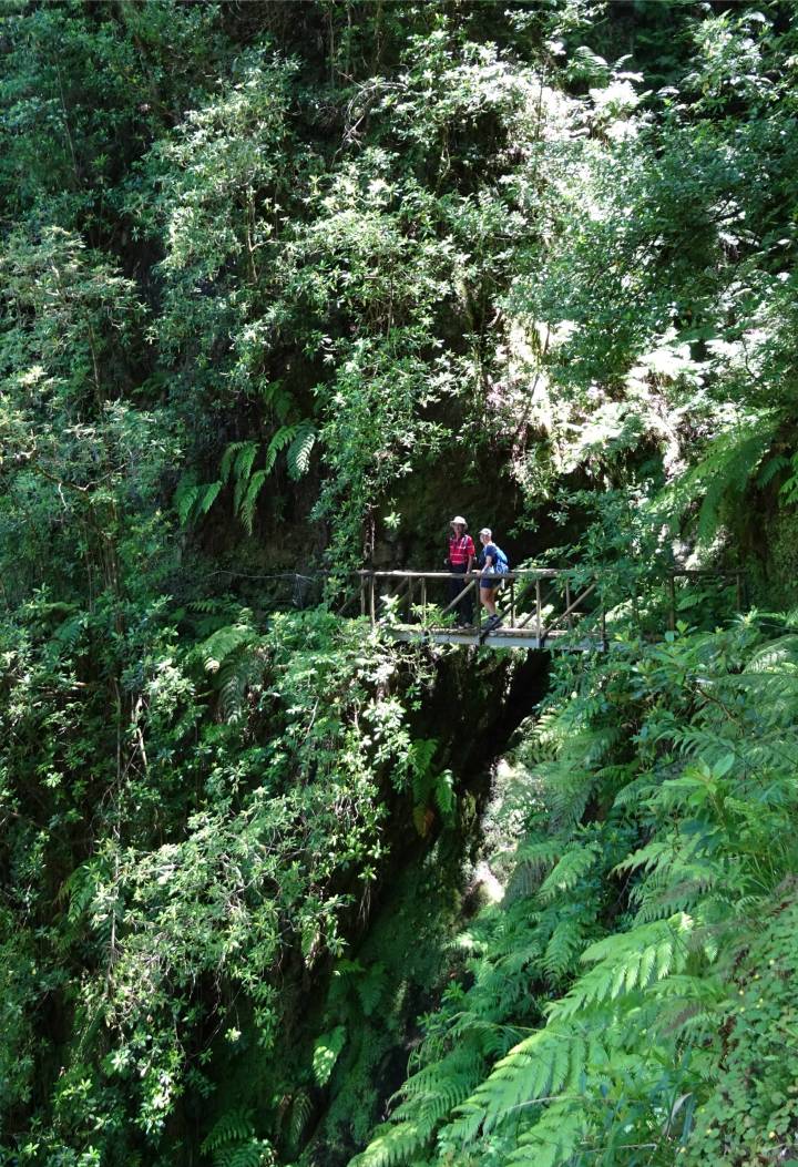Madeira 4 auf der Brueke