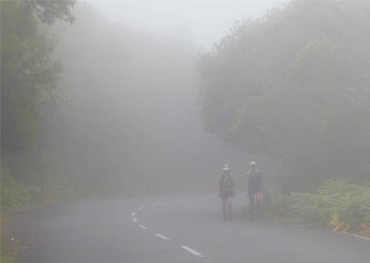 Madeira 4 eingehuellt von der Wolke