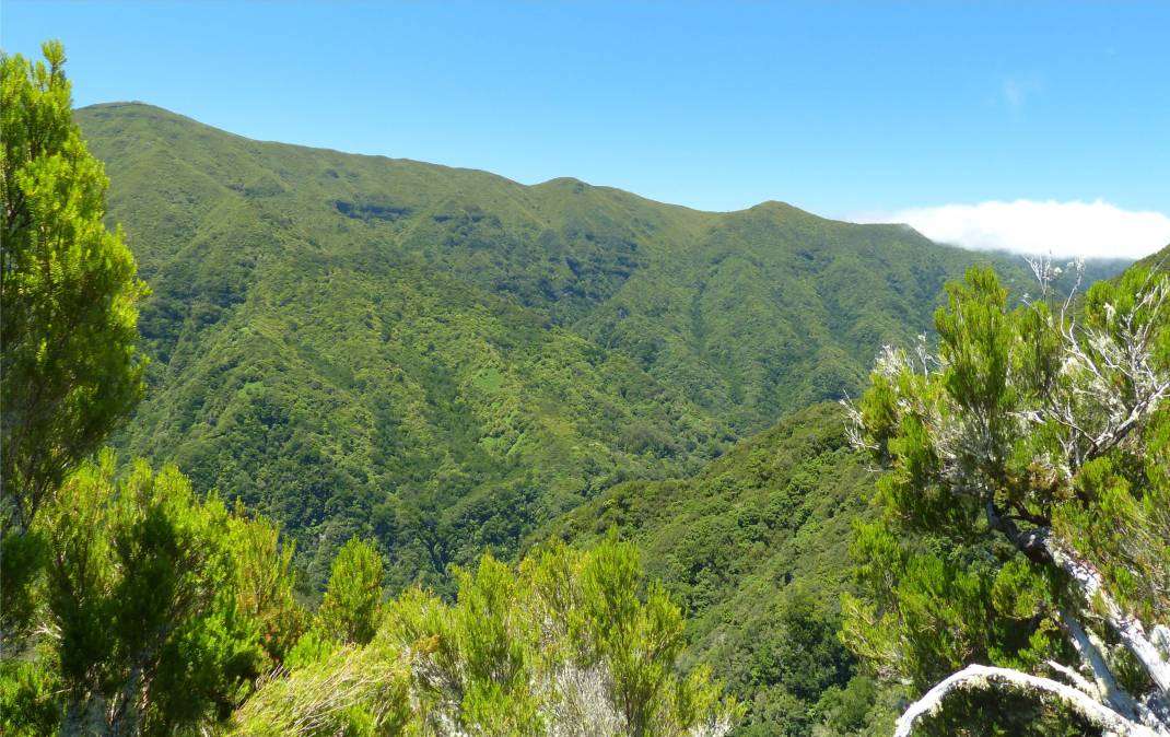 Madeira 4 gruene Berge