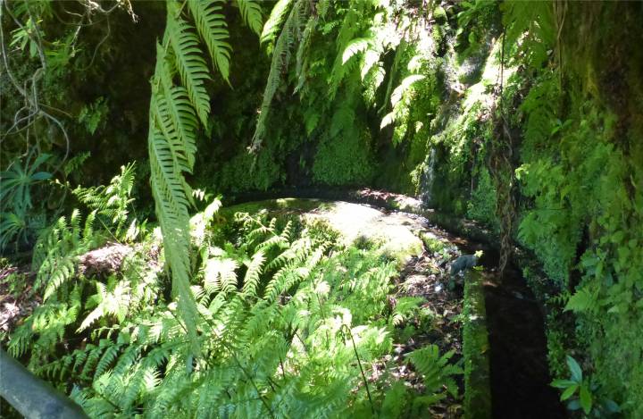 Madeira 4 Levada biegt ab