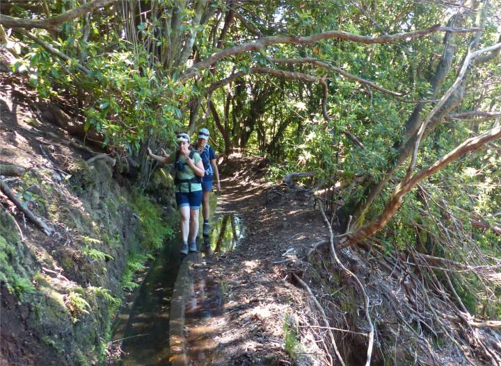 Madeira 4 matschige Wege