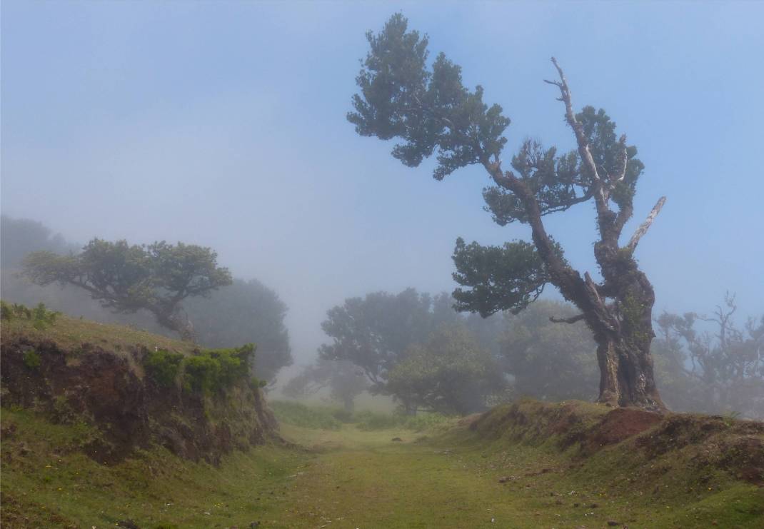 Madeira 4 Nebel lichtet sich