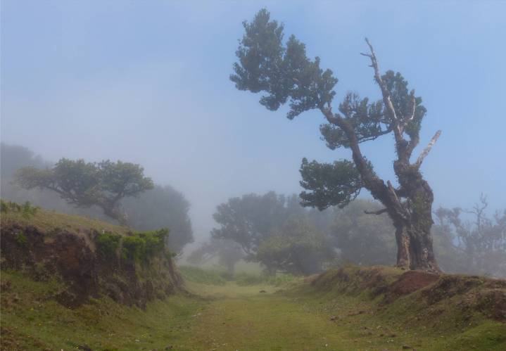 Madeira 4 Nebel lichtet sich