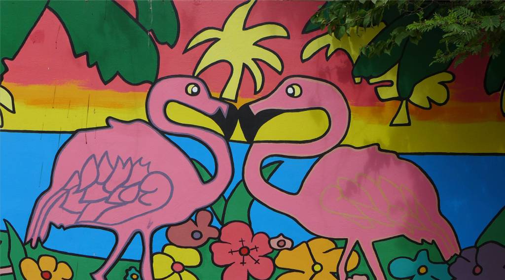 23 romantische Flamingos auf Bonaire