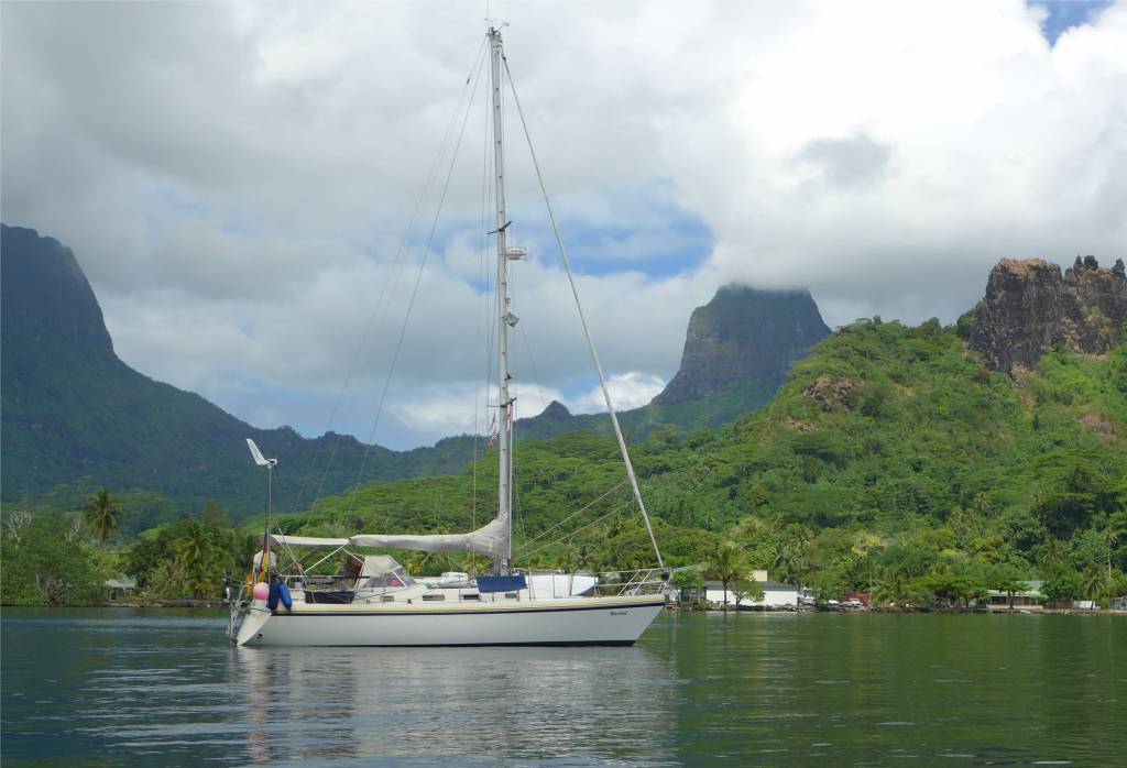 25 Mari in der Baie de Cook Moorea