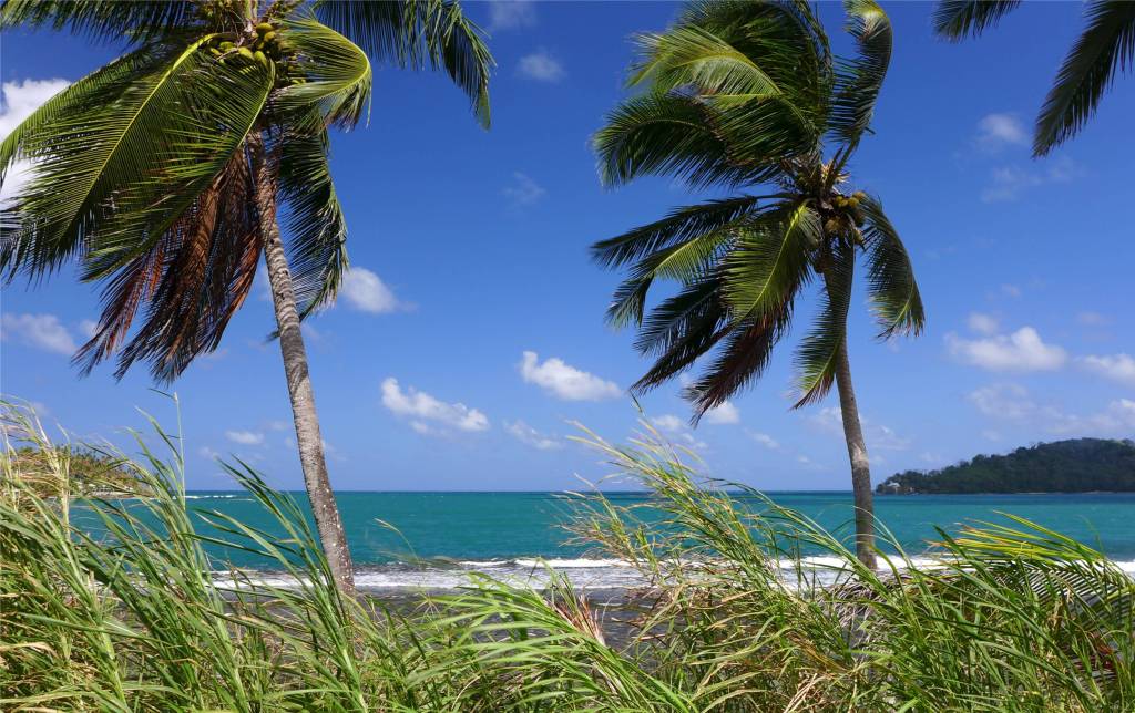 26 Panama Linton Bay