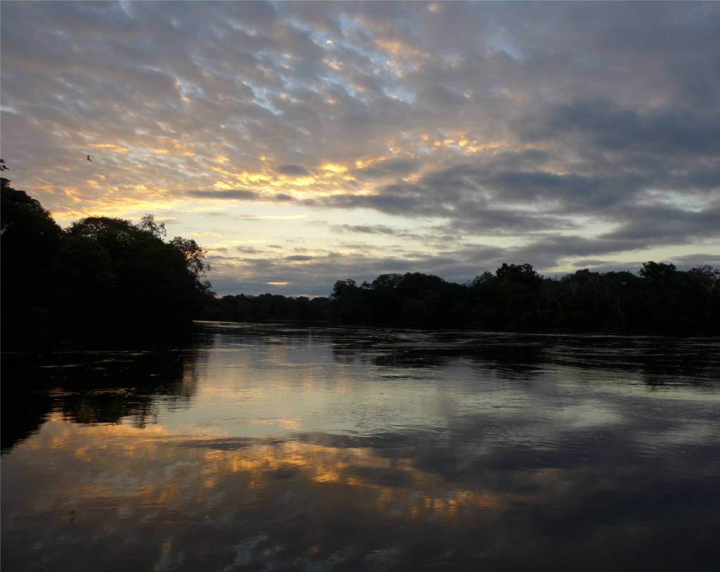 3 Morgenstimmung im Regenwald