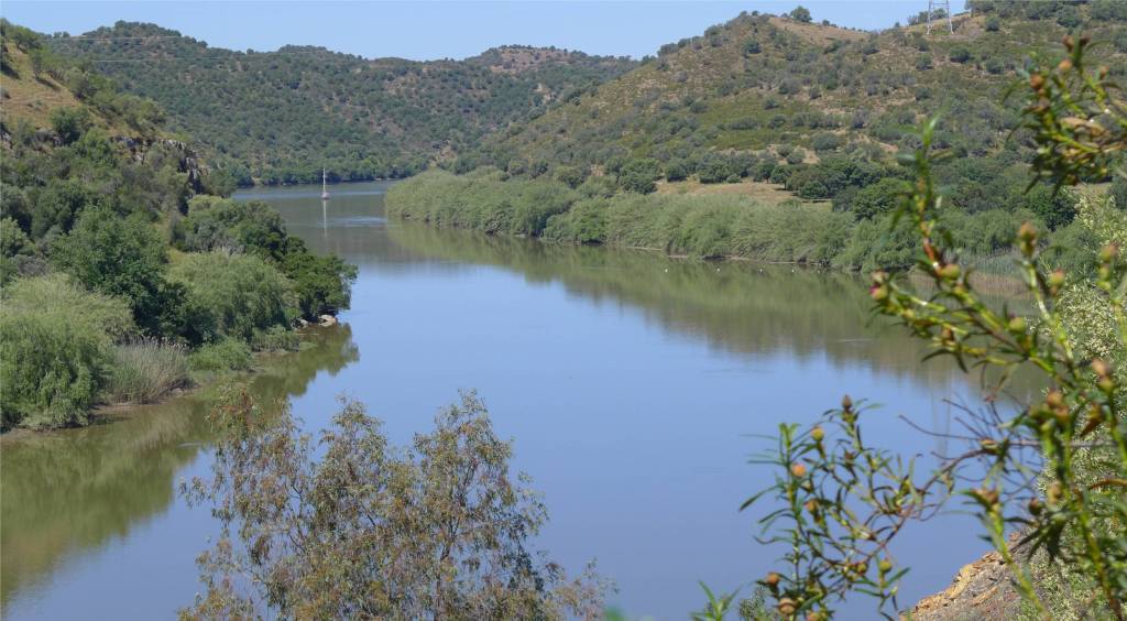 4 Mari auf dem Rio Guadiana
