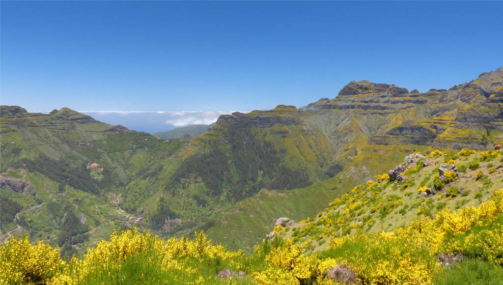 7 Madeira - in den Bergen