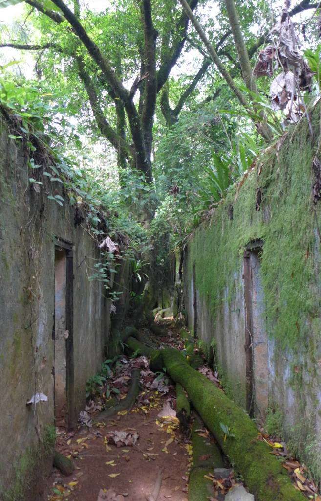 8 Gefaengnisruinen auf Iles du Salut