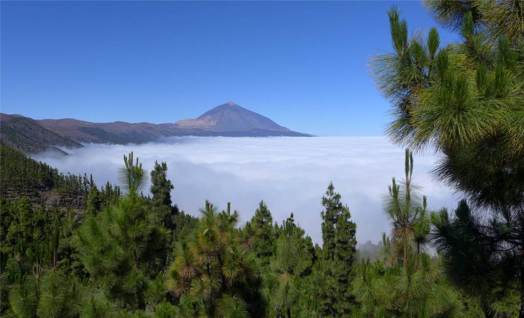8 Teneriffa Blick auf den Teide