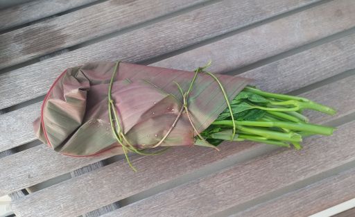 Island Cabbage – SY Marisol
